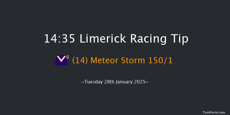 Limerick  14:35 Maiden Hurdle 16f Sun 29th Dec 2024