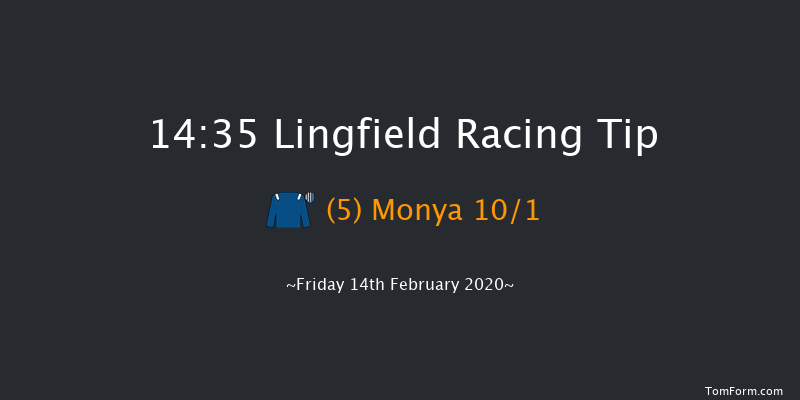 Bombardier Golden Beer Novice Stakes Lingfield 14:35 Stakes (Class 5) 8f Sat 8th Feb 2020