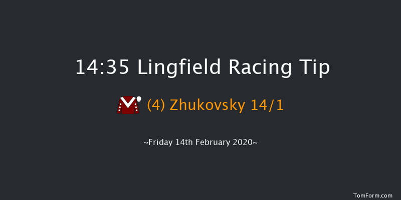 Bombardier Golden Beer Novice Stakes Lingfield 14:35 Stakes (Class 5) 8f Sat 8th Feb 2020