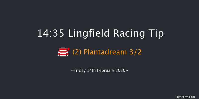 Bombardier Golden Beer Novice Stakes Lingfield 14:35 Stakes (Class 5) 8f Sat 8th Feb 2020
