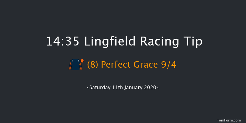 Lingfield 14:35 Handicap (Class 5) 8f Fri 10th Jan 2020