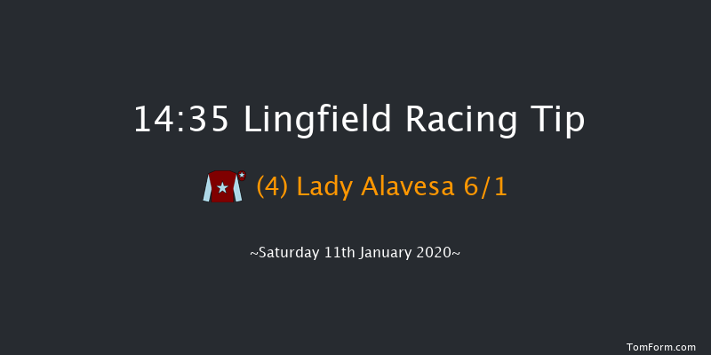 Lingfield 14:35 Handicap (Class 5) 8f Fri 10th Jan 2020