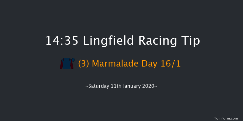 Lingfield 14:35 Handicap (Class 5) 8f Fri 10th Jan 2020