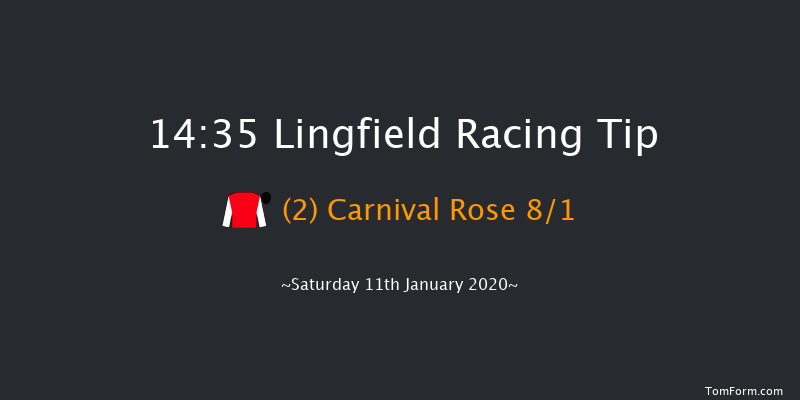 Lingfield 14:35 Handicap (Class 5) 8f Fri 10th Jan 2020