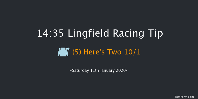 Lingfield 14:35 Handicap (Class 5) 8f Fri 10th Jan 2020