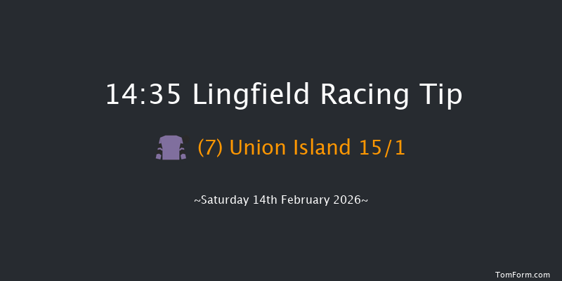 Lingfield 14-35 (Class 5) 8f Thu 12th Feb 2026