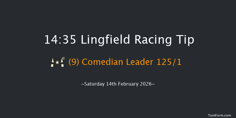 Lingfield 14-35 (Class 5) 8f Thu 12th Feb 2026