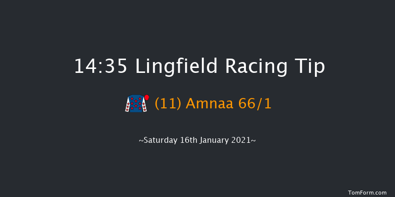 Bombardier Handicap Lingfield 14:35 Handicap (Class 6) 7f Tue 12th Jan 2021