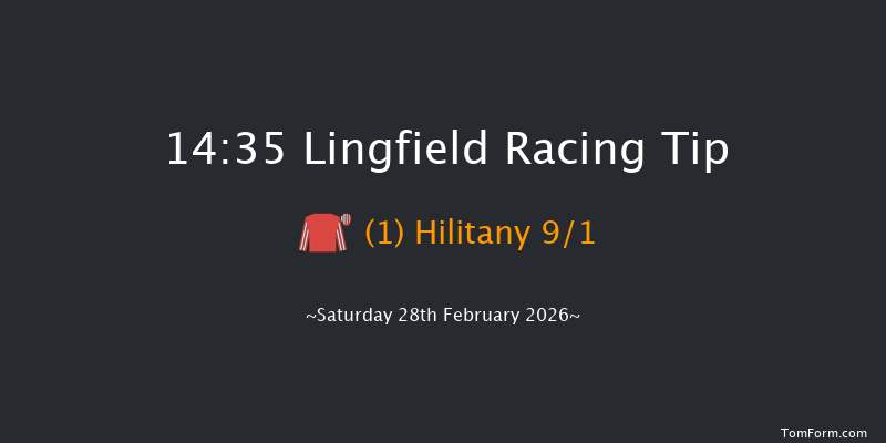 Lingfield 14-35 (Class 1) 7f Fri 27th Feb 2026
