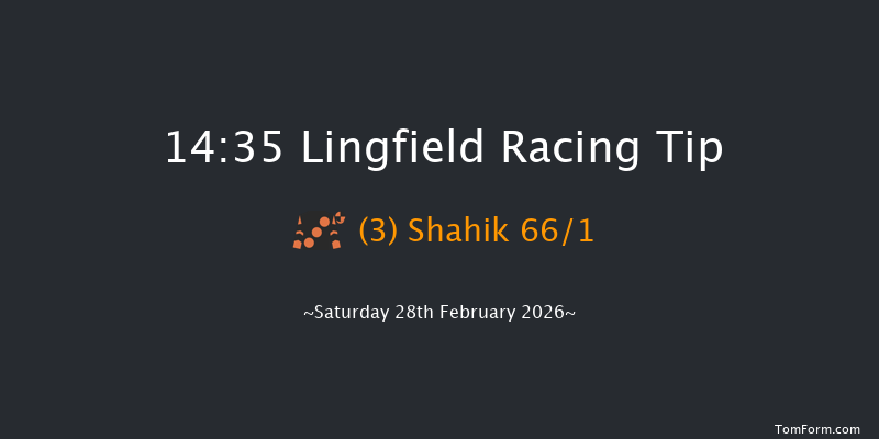 Lingfield 14-35 (Class 1) 7f Fri 27th Feb 2026