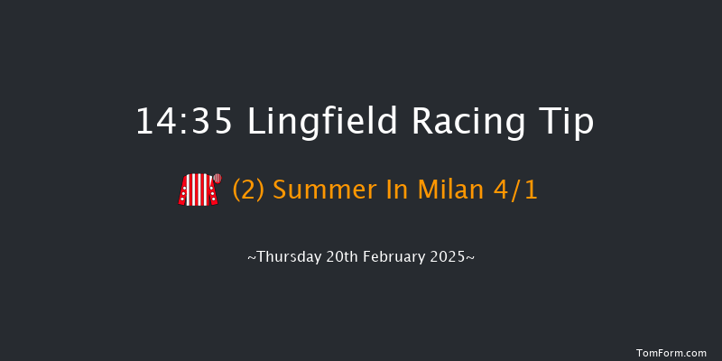 Lingfield  14:35 Handicap Chase (Class 5) 24f Sun 16th Feb 2025