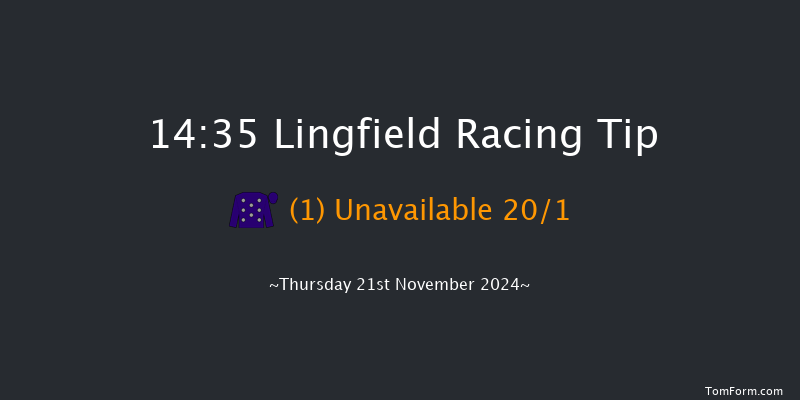 Lingfield  14:35 Handicap (Class 6) 6f Tue 19th Nov 2024