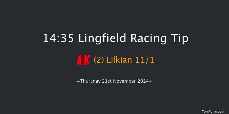 Lingfield  14:35 Handicap (Class 6) 6f Tue 19th Nov 2024