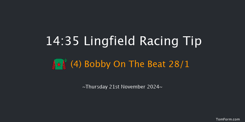 Lingfield  14:35 Handicap (Class 6) 6f Tue 19th Nov 2024