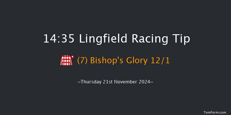 Lingfield  14:35 Handicap (Class 6) 6f Tue 19th Nov 2024