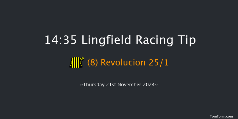 Lingfield  14:35 Handicap (Class 6) 6f Tue 19th Nov 2024