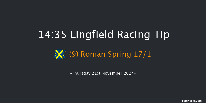 Lingfield  14:35 Handicap (Class 6) 6f Tue 19th Nov 2024