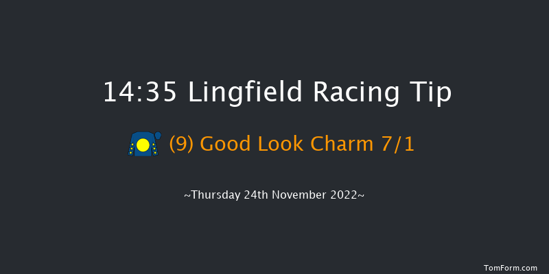 Lingfield 14:35 Handicap Chase (Class 4) 20f Sat 19th Nov 2022