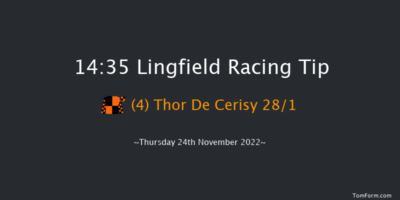 Lingfield 14:35 Handicap Chase (Class 4) 20f Sat 19th Nov 2022