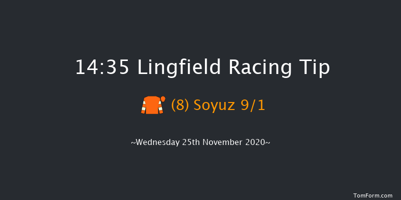 Get Your Ladbrokes Daily Odds Boost EBF Novice Stakes (Div 1) Lingfield 14:35 Stakes (Class 5) 8f Tue 24th Nov 2020