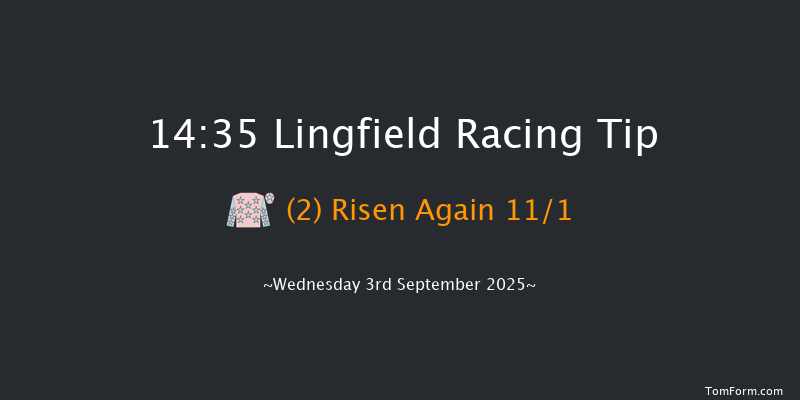 Lingfield 14-35 (Class 5) 10f Sat 30th Aug 2025