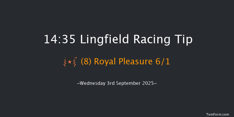 Lingfield 14-35 (Class 5) 10f Sat 30th Aug 2025