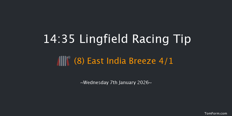 Lingfield 14-35 (Class 6) 7f Sat 3rd Jan 2026