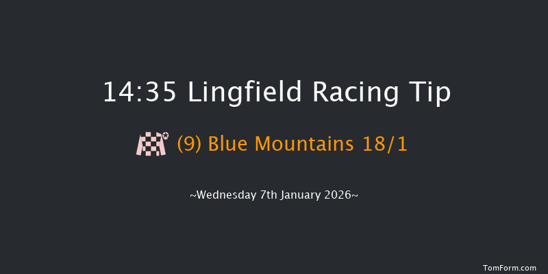 Lingfield 14-35 (Class 6) 7f Sat 3rd Jan 2026