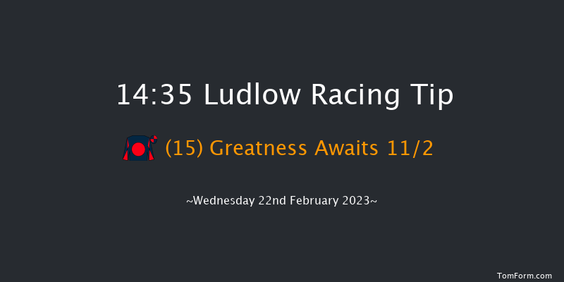 Ludlow 14:35 Maiden Hurdle (Class 4) 16f Fri 6th Jan 2023