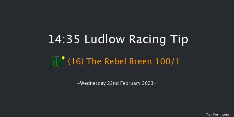 Ludlow 14:35 Maiden Hurdle (Class 4) 16f Fri 6th Jan 2023