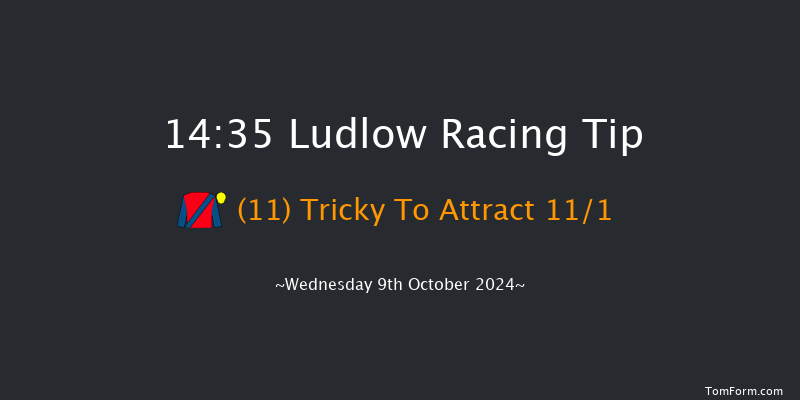 Ludlow  14:35 Maiden Hurdle (Class 4) 16f Sun 12th May 2024