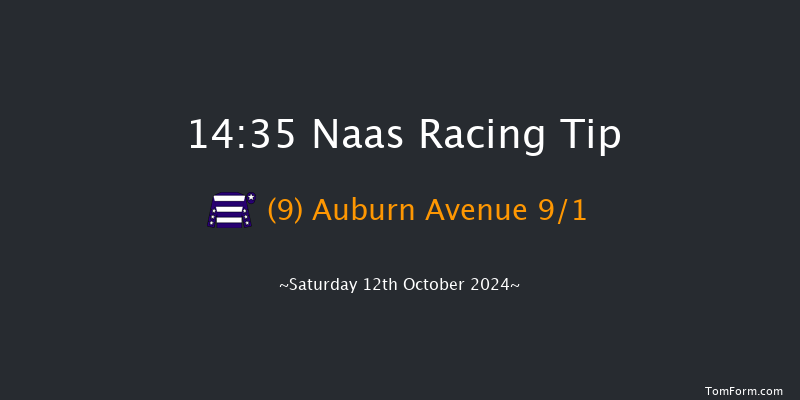 Naas  14:35 Maiden 8f Thu 19th Sep 2024
