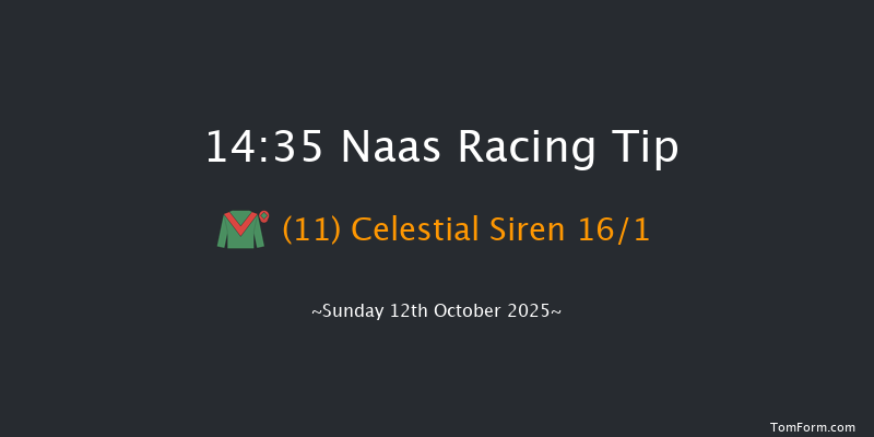 Naas 14-35 7f Sat 11th Oct 2025