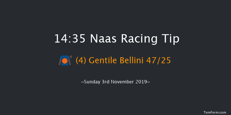 Naas 14:35 Handicap 10f Sun 20th Oct 2019