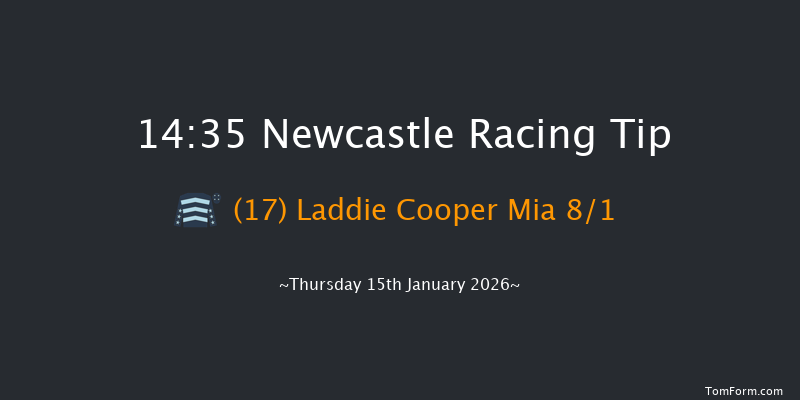 Newcastle 14-35 (Class 5) 20f Tue 13th Jan 2026