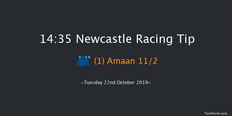 Newcastle 14:35 Stakes (Class 4) 7f Fri 18th Oct 2019