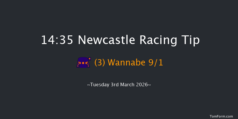 Newcastle 14-35 (Class 5) 20f Tue 24th Feb 2026