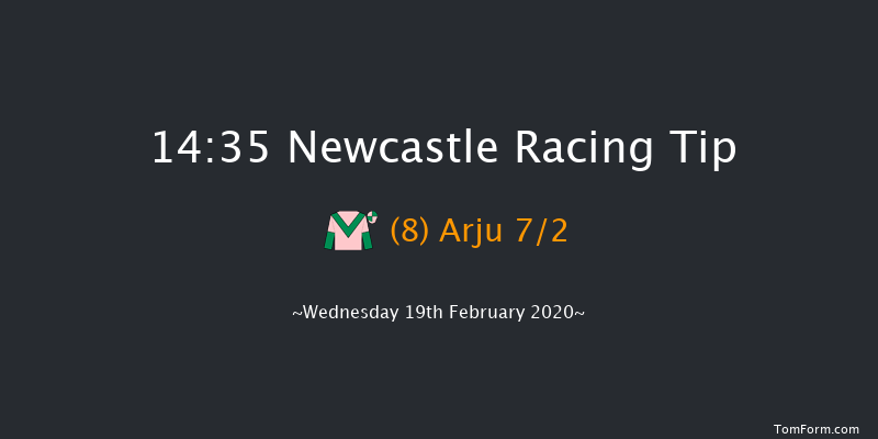 Ladbrokes Home Of The Odds Boost Novice Stakes Newcastle 14:35 Stakes (Class 5) 7f Sat 15th Feb 2020