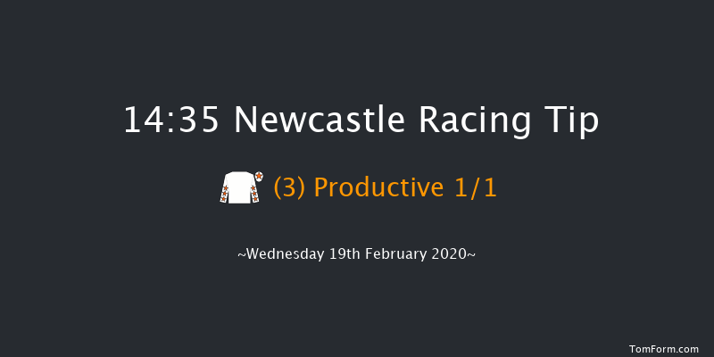 Ladbrokes Home Of The Odds Boost Novice Stakes Newcastle 14:35 Stakes (Class 5) 7f Sat 15th Feb 2020