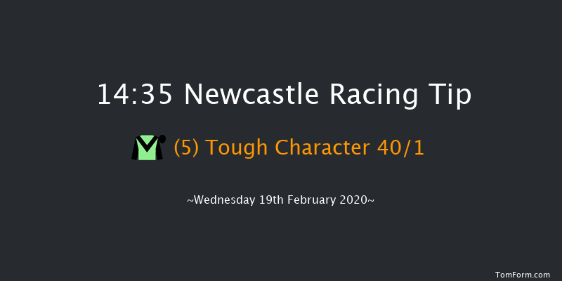 Ladbrokes Home Of The Odds Boost Novice Stakes Newcastle 14:35 Stakes (Class 5) 7f Sat 15th Feb 2020