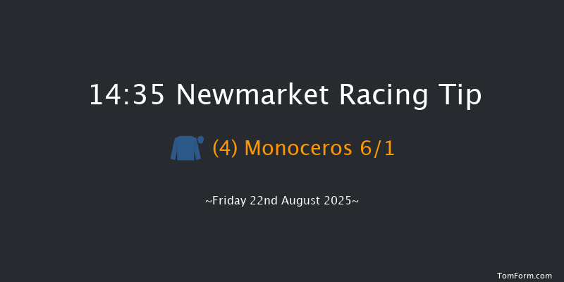 Newmarket 14-35 (Class 4) 7f Sat 16th Aug 2025