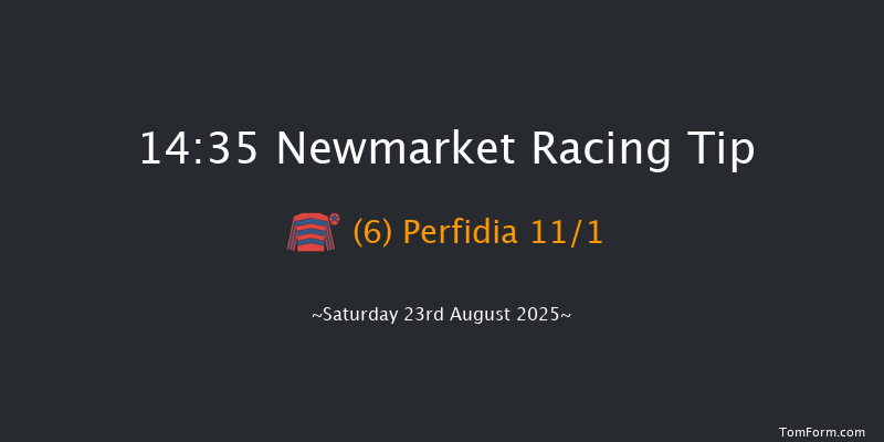 Newmarket 14-35 (Class 5) 8f Fri 22nd Aug 2025