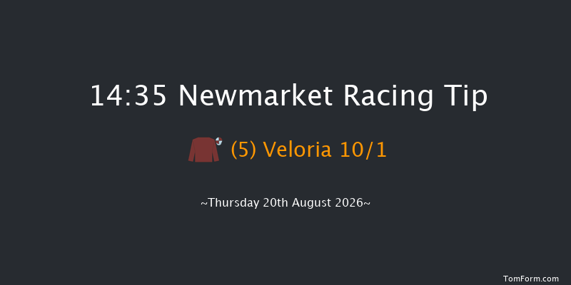 Newmarket 14-35 (Class 3) 8f Sat 15th Aug 2026