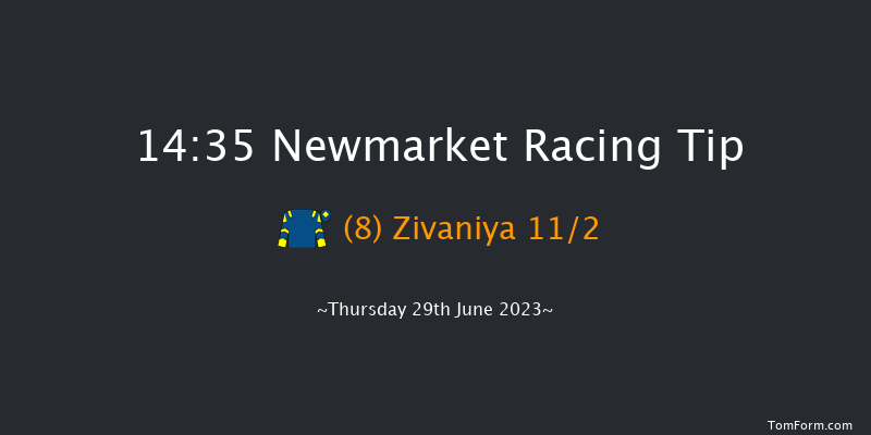 Newmarket 14:35 Handicap (Class 5) 12f Sat 24th Jun 2023