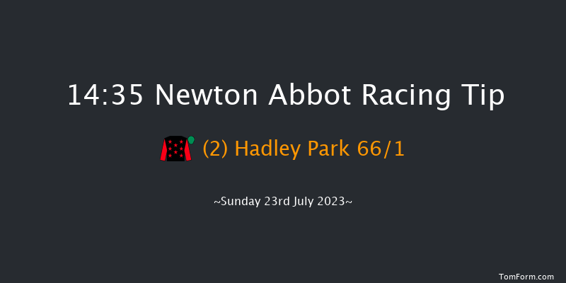 Newton Abbot 14:35 Conditions Hurdle (Class 3) 17f Mon 17th Jul 2023