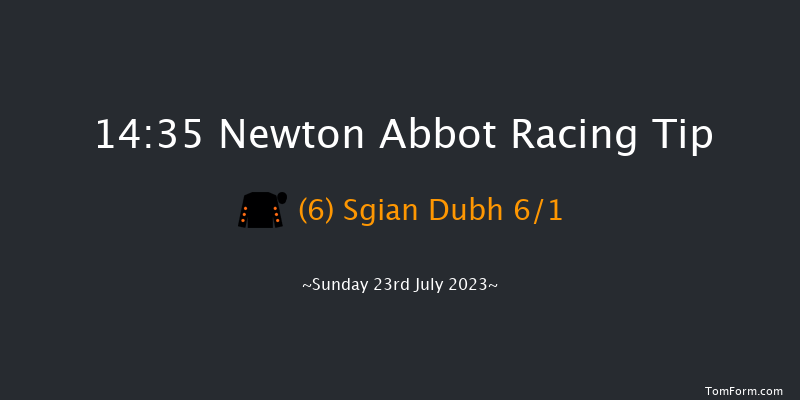 Newton Abbot 14:35 Conditions Hurdle (Class 3) 17f Mon 17th Jul 2023