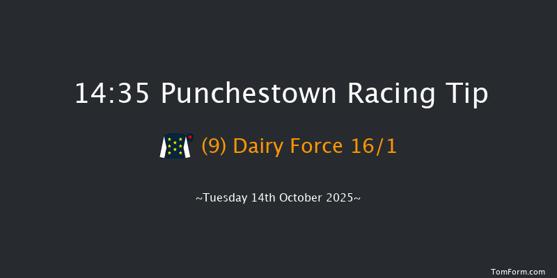 Punchestown 14-35 16f Tue 16th Sep 2025