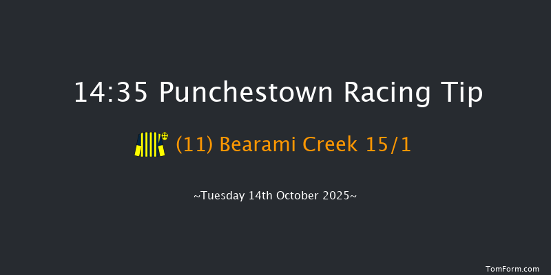Punchestown 14-35 16f Tue 16th Sep 2025