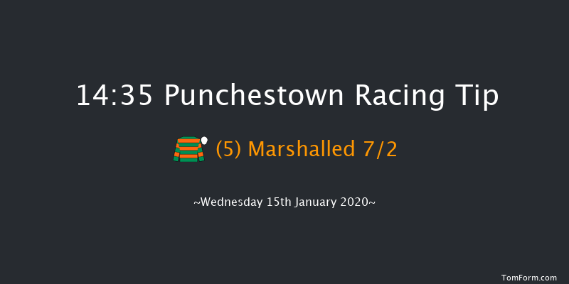 Punchestown 14:35 Handicap Hurdle 20f Sun 12th Jan 2020