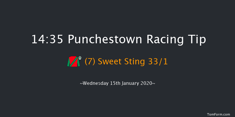 Punchestown 14:35 Handicap Hurdle 20f Sun 12th Jan 2020